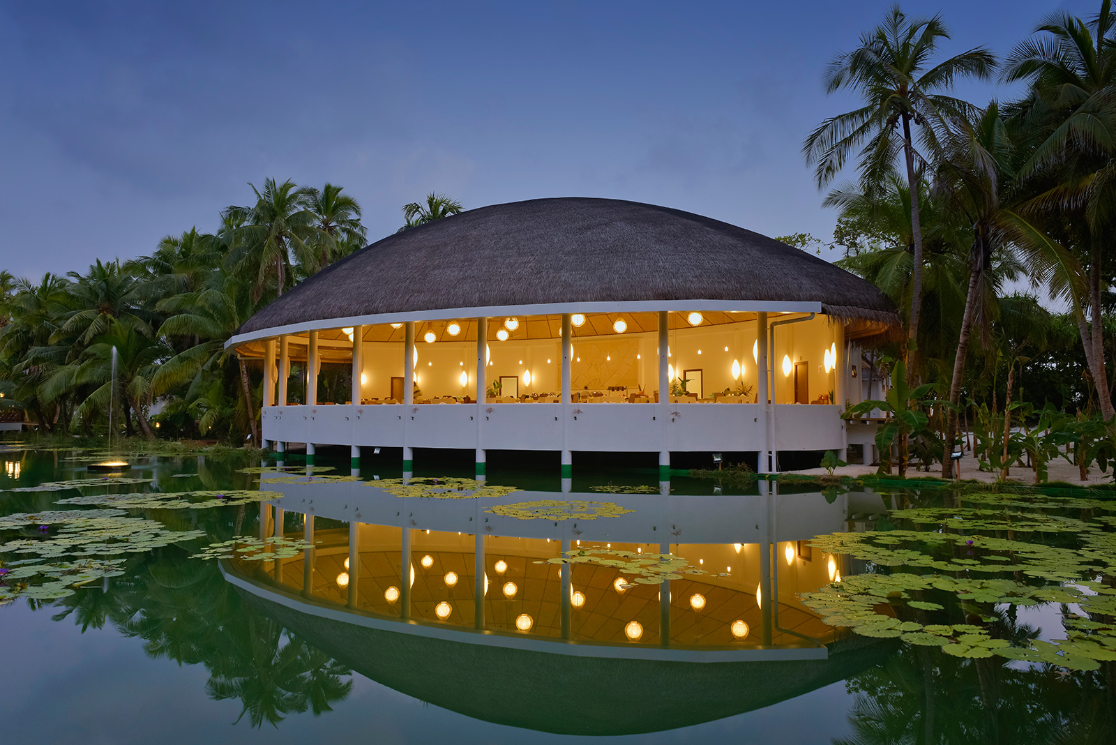 Lake View Bar Dreamland